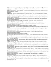Teisės teorijos 9 puslapis