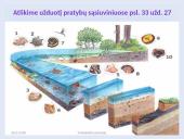 Fosilijos 13 puslapis