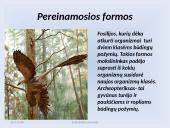 Fosilijos 16 puslapis