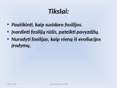 Fosilijos 3 puslapis