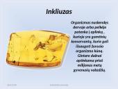 Fosilijos 9 puslapis