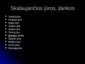 Europos pristatymas 11 puslapis