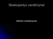 Europos pristatymas 12 puslapis