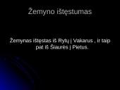 Europos pristatymas 13 puslapis