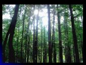 Europos pristatymas 16 puslapis