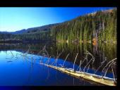 Europos pristatymas 17 puslapis