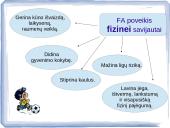 Fizinis aktyvumas ir sveikata skaidrės 10 puslapis