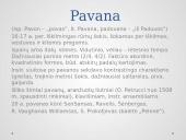 Pasaulio tautų šokiai (skaidrės) 11 puslapis