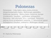 Pasaulio tautų šokiai (skaidrės) 12 puslapis