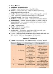 8 klasės istorijos konspektas 2 puslapis