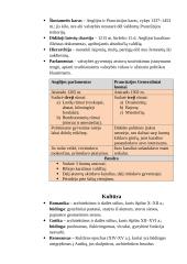 8 klasės istorijos konspektas 4 puslapis