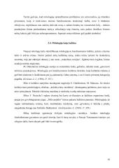 Senųjų mitų interpretacijos  šiuolaikinėje Lietuvos dailėje  17 puslapis