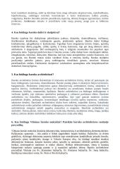 Bendro pobūdžio klausimai: barokas  2 puslapis