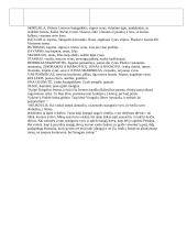 V. Krėvės Skirgaila. Teiginiai ir jų argumentavimas 3 puslapis