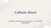Culture shock (presentation) 14 puslapis