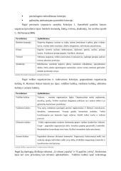 Organizacinės kultūros funkcijos ir tipai 2 puslapis