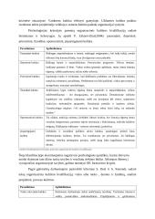 Organizacinės kultūros funkcijos ir tipai 3 puslapis