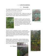 Pasirinkto sklypo želdyno priežiūros plano sudarymas 11 puslapis