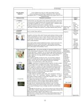 Pasirinkto sklypo želdyno priežiūros plano sudarymas 12 puslapis