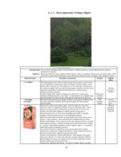 Pasirinkto sklypo želdyno priežiūros plano sudarymas 18 puslapis