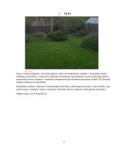 Pasirinkto sklypo želdyno priežiūros plano sudarymas 3 puslapis