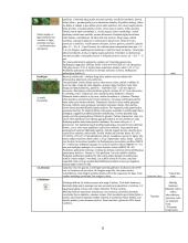 Pasirinkto sklypo želdyno priežiūros plano sudarymas 7 puslapis