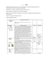 Pasirinkto sklypo želdyno priežiūros plano sudarymas 8 puslapis