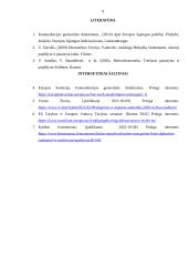 Importas Europos Sąjungoje 10 puslapis