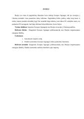 Importas Europos Sąjungoje 2 puslapis