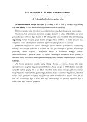 Importas Europos Sąjungoje 5 puslapis