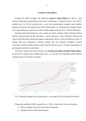 Importas Europos Sąjungoje 8 puslapis