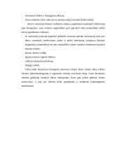 Vairuotojo aktyvumo sensorines stebėjimo sistemos projektavimas 13 puslapis