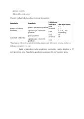 Vairuotojo aktyvumo sensorines stebėjimo sistemos projektavimas 20 puslapis