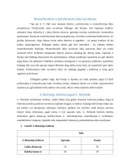 Tarptautinio verslo atvejo analizė 3 puslapis