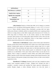 Tarptautinio verslo atvejo analizė 4 puslapis