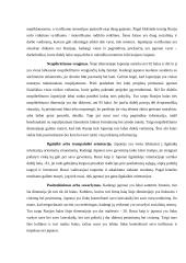 Tarptautinio verslo atvejo analizė 5 puslapis