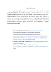 Tarptautinio verslo atvejo analizė 6 puslapis