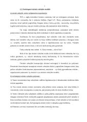 Teisinės valstybės samprata - gera teorija  7 puslapis