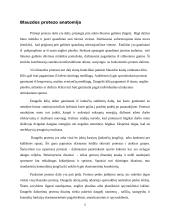 Sportiniai kojos protezai 4 puslapis