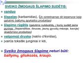 Šlapimo sutrikimai 6 puslapis