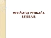 Medžiagų perneša stiebais