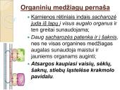 Medžiagų perneša stiebais 11 puslapis