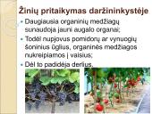 Medžiagų perneša stiebais 12 puslapis