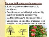 Medžiagų perneša stiebais 13 puslapis