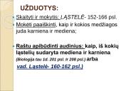 Medžiagų perneša stiebais 16 puslapis