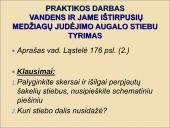 Medžiagų perneša stiebais 17 puslapis