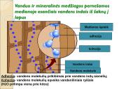 Medžiagų perneša stiebais 5 puslapis