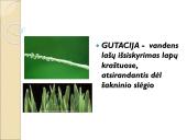 Medžiagų perneša stiebais 6 puslapis