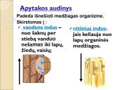 Medžiagų perneša stiebais 8 puslapis