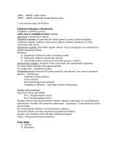 Telekomunikacinės sistemos 2 puslapis
